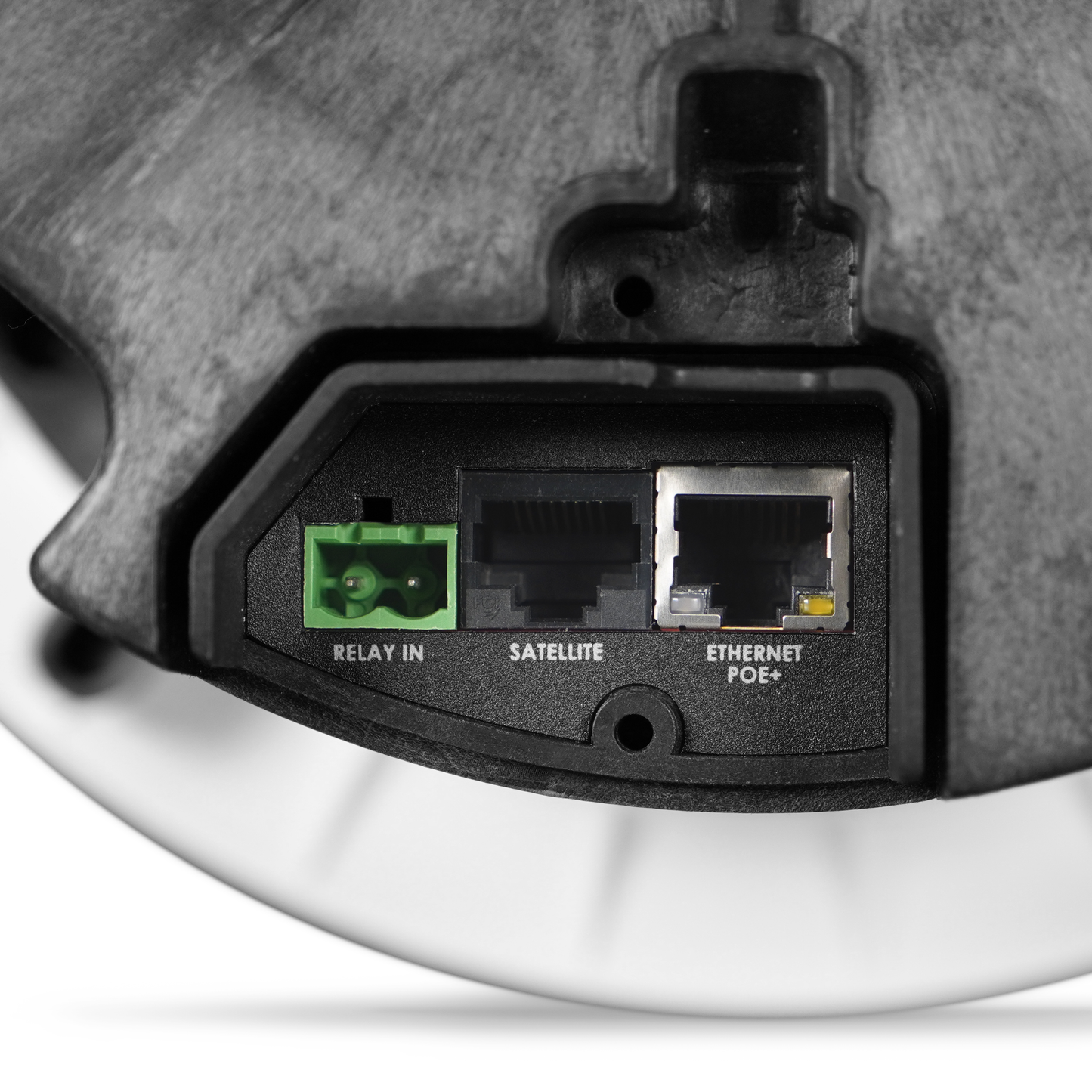 8198 IP PoE+ Ceiling Speaker | Algo SIP Ceiling Speaker ALGO